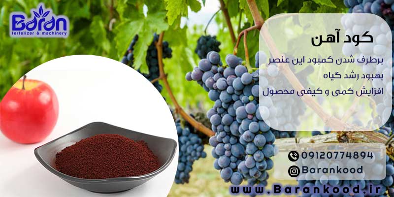 کود کلات آهن