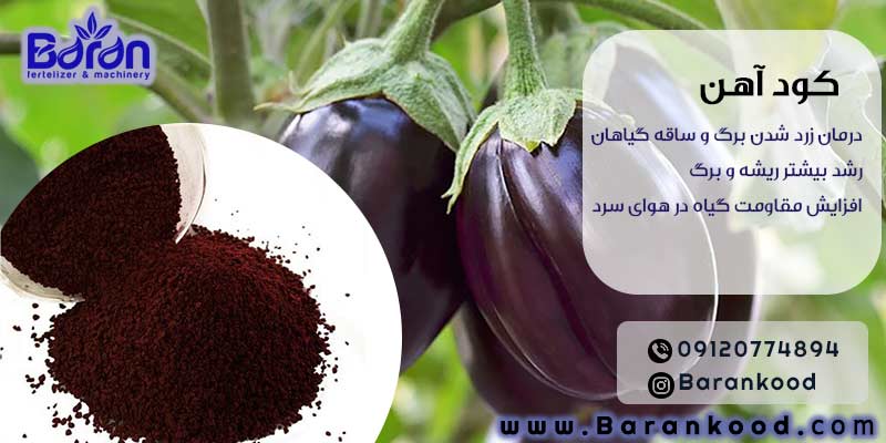 کود کلات آهن