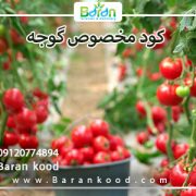 کود-سه-بیست