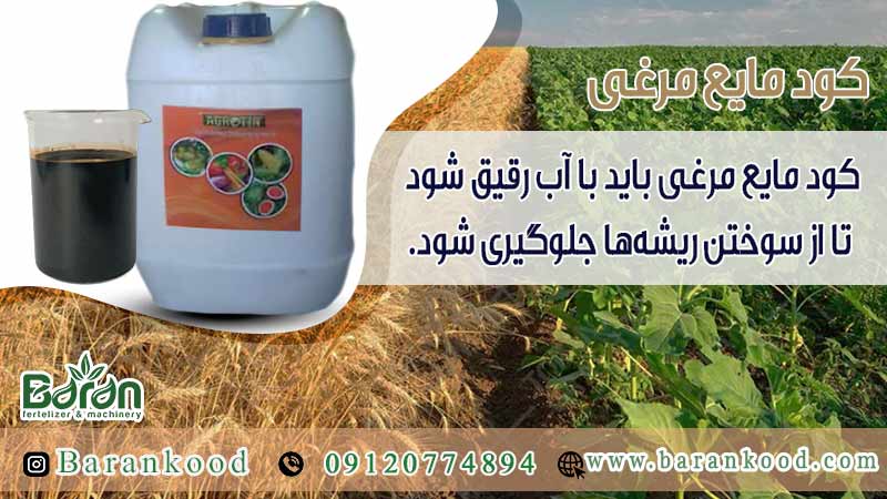 کود مایع مرغی