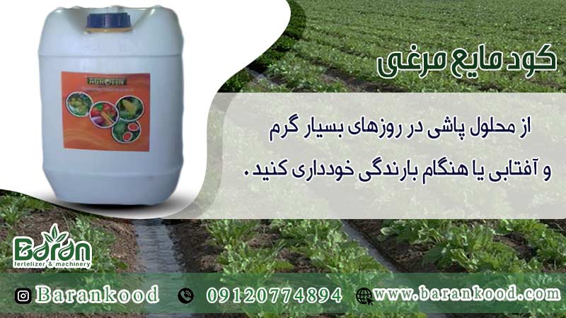 کود مایع مرغی