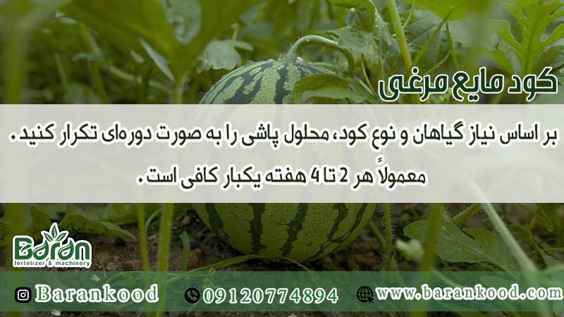 کود مایع مرغی