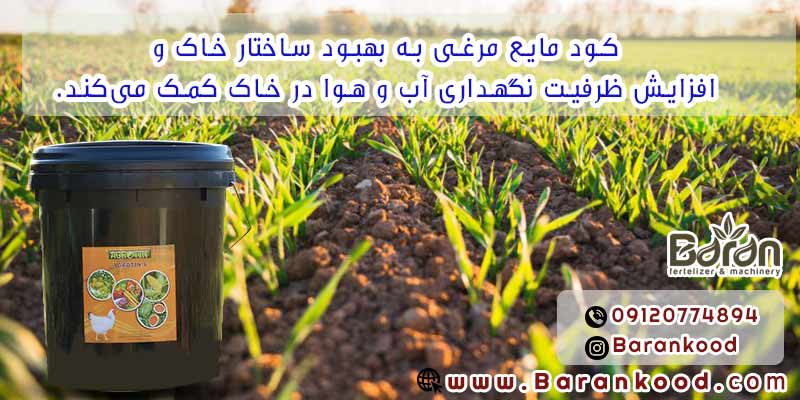 کود مایع مرغی