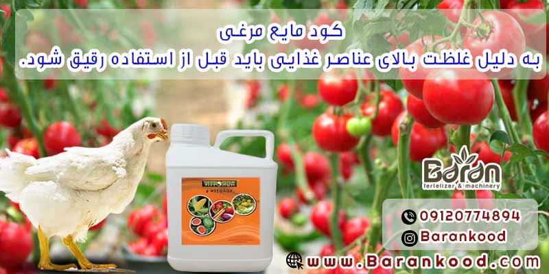 کود مایع مرغی