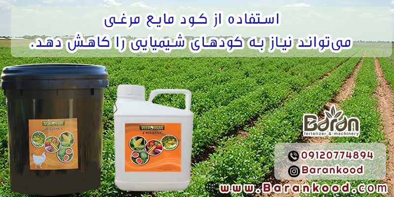 کود مایع مرغی