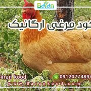 کود مایع مرغی