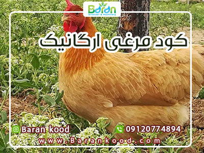 کود مایع مرغی