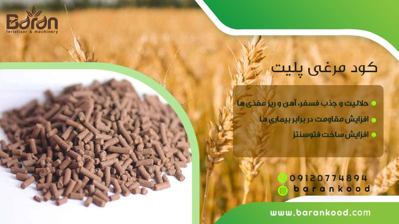 کود مرغی پلیت 