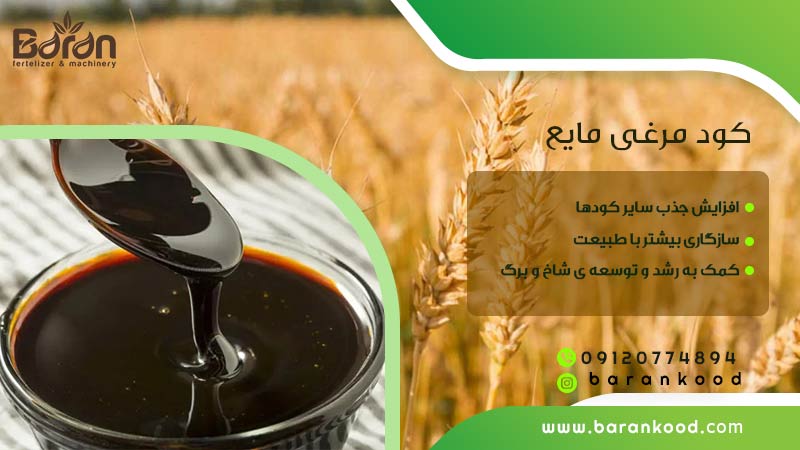 کود مرغی مایع