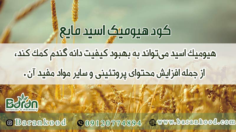 کود هیومیک اسید