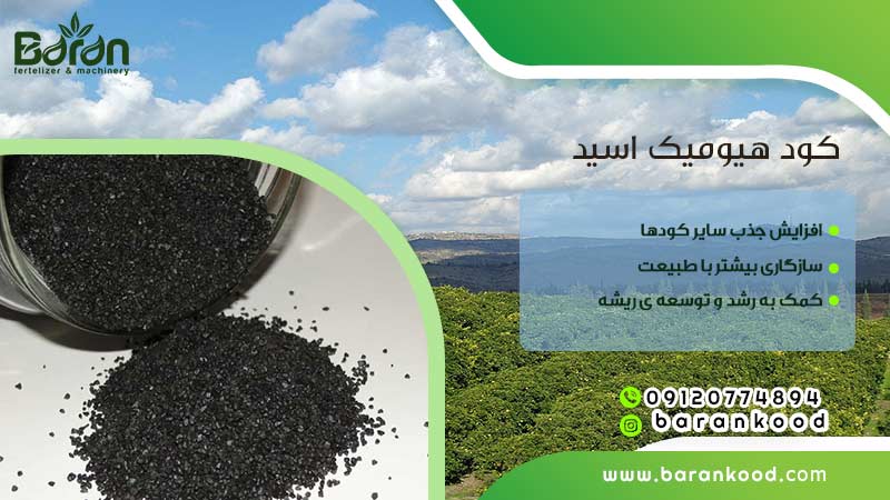 کود هیومیک اسید