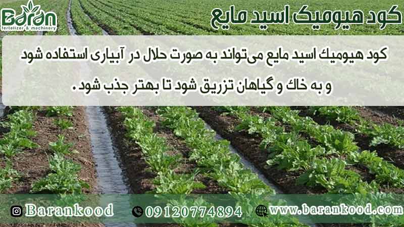 کود هیومیک اسید