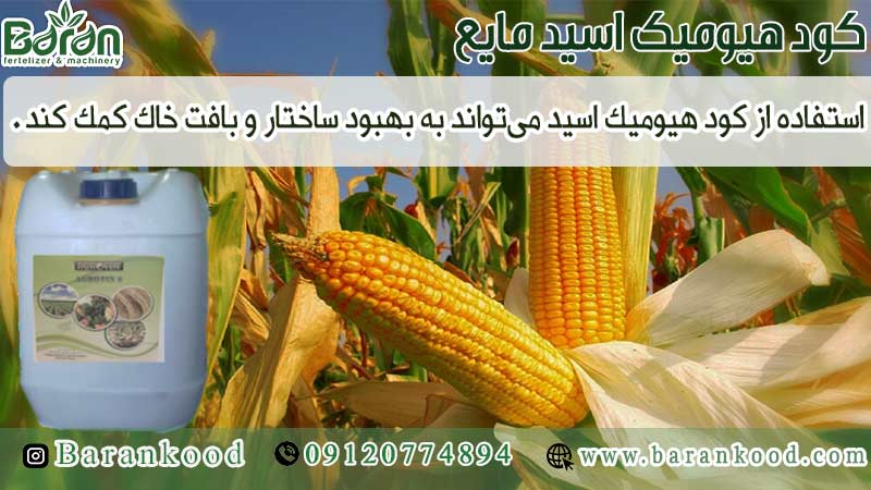 کود هیومیک اسید