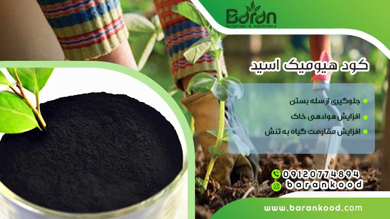 کود هیومیک اسید