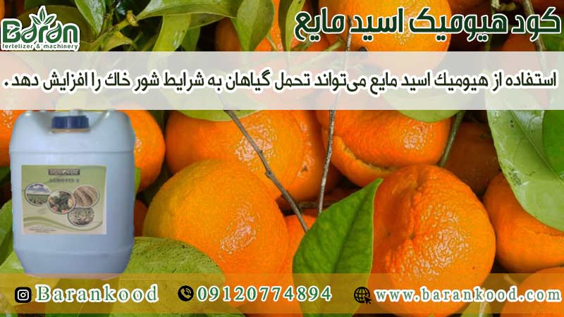 کود هیومیک اسید