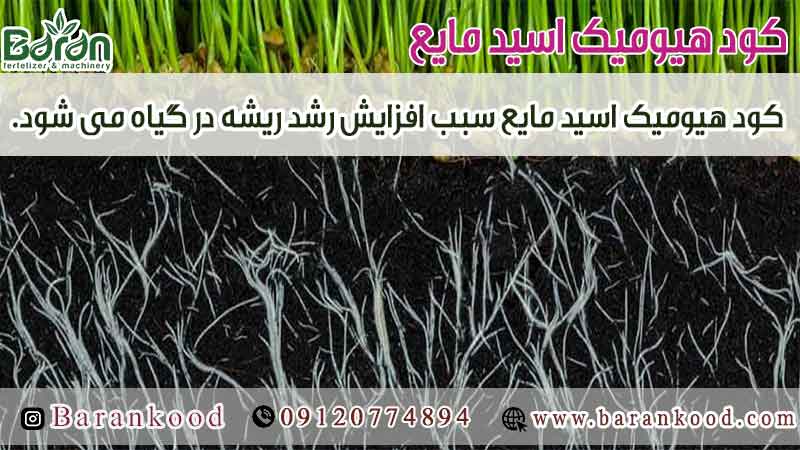 کود هیومیک اسید