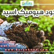 کود هیومیک اسید