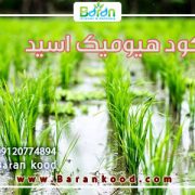 کود هیومیک اسید