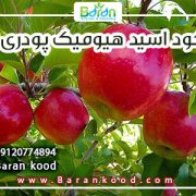 کود هیومیک اسید