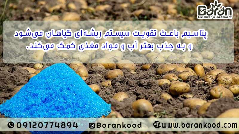 کود پتاس بالا