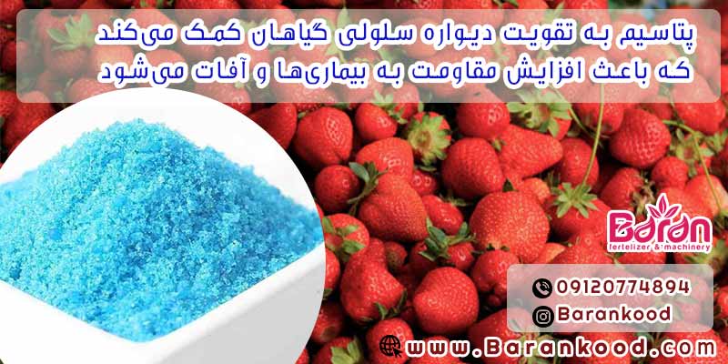 کود پتاس بالا