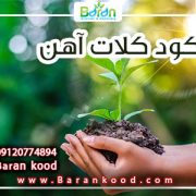 کود کلات آهن