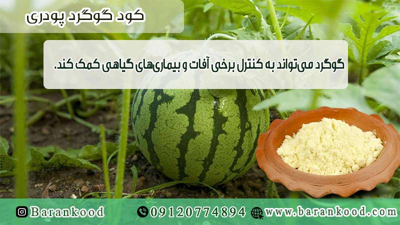 کود گوگرد پودری