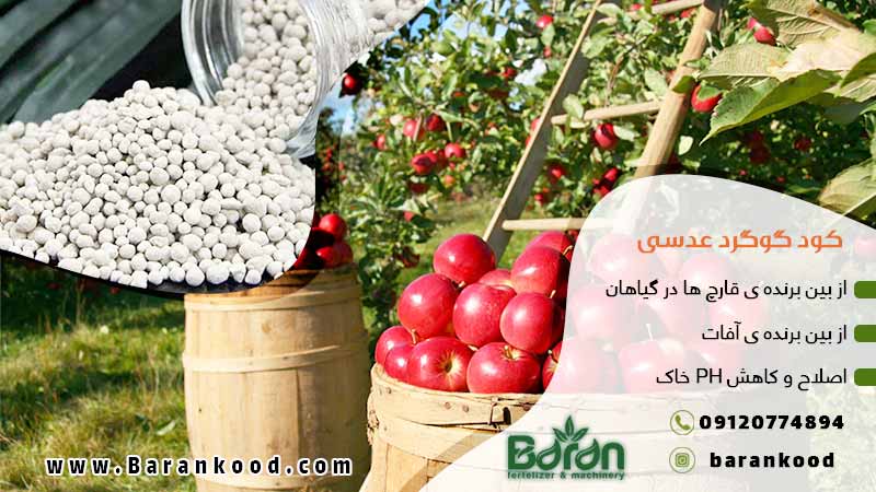 کود گوگرد عدسی