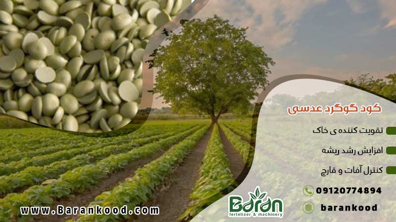 کود گوگرد پودری