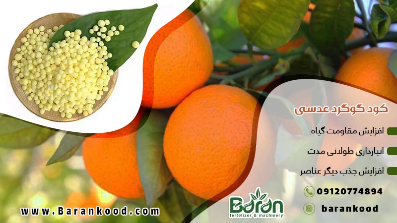 کود گوگرد پودری