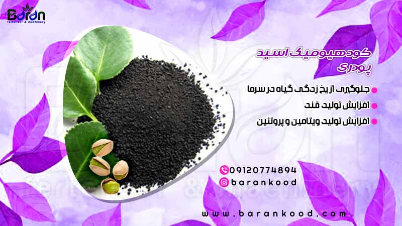 کود هیومیک اسید