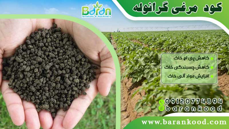 کود مرغی گرانوله