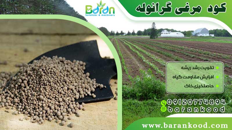 کود مرغی گرانوله