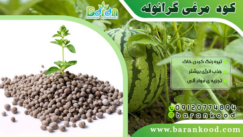 کود مرغی گرانوله