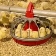 خرید لوازم مرغداری