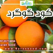 کود گوگرد پودری