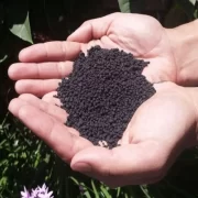 خرید کود گوگرد گرانول