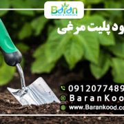 کود پلت مرغی