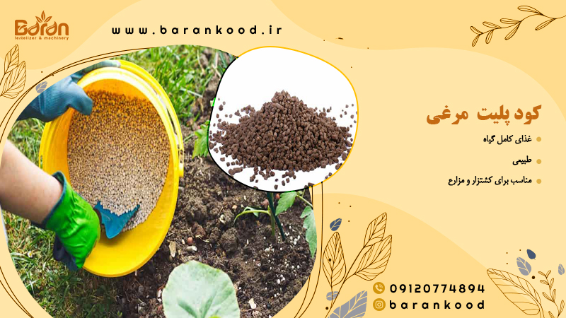 کود پلیت مرغی غنی شده