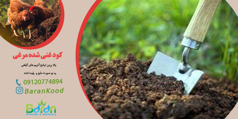 خرید کودمرغی