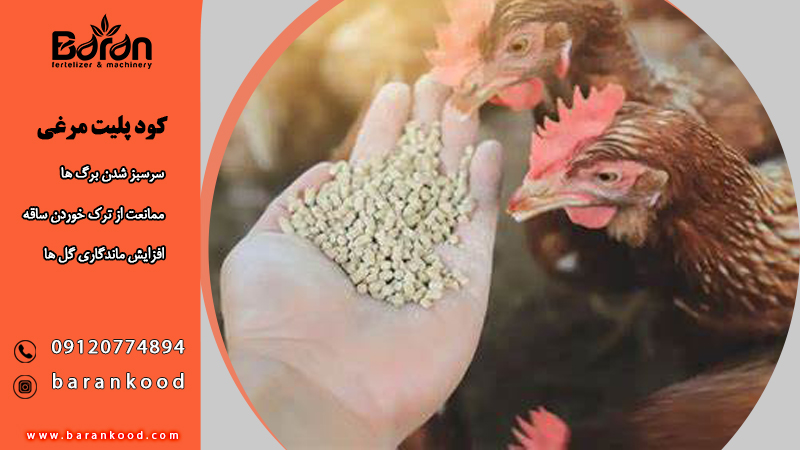 کود پلیت مرغی