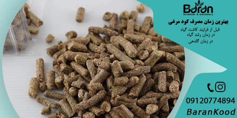 بهترین زمان مصرف کود مرغی