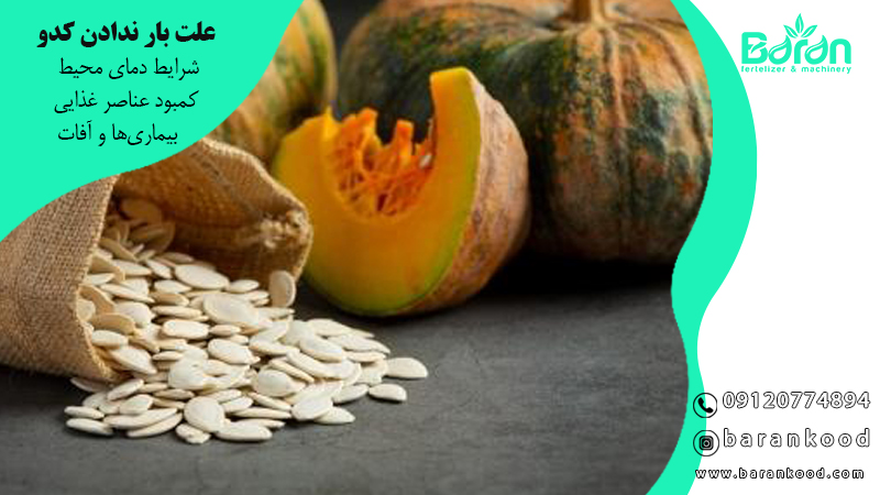 علت بار ندادن کدو