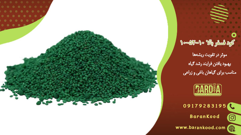 کود فسفر بالا