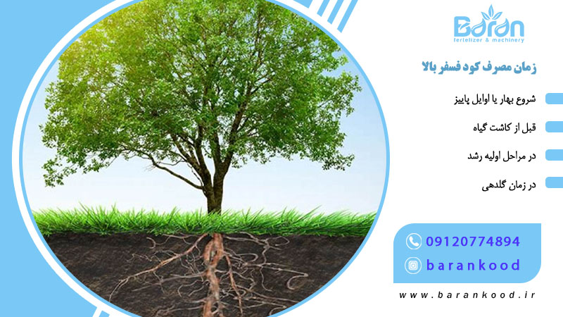 کود فسفر بالا 