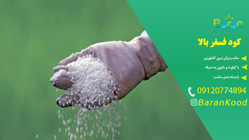 کود فسفر بالا