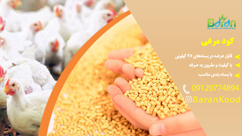 کود مرغی