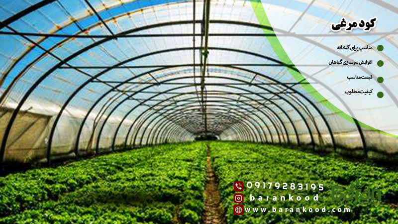 کود مرغی پلیت