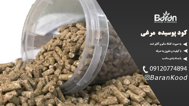 کود مرغی پوسیده