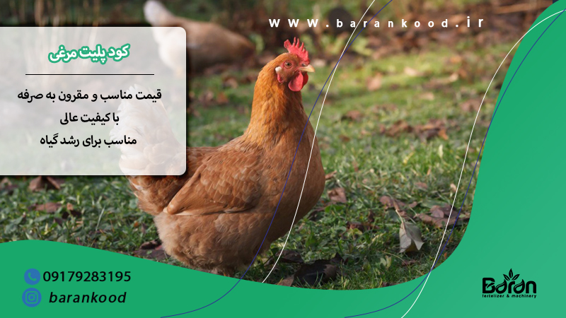 کود پلیت مرغی